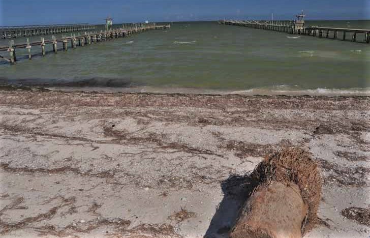 pier damage